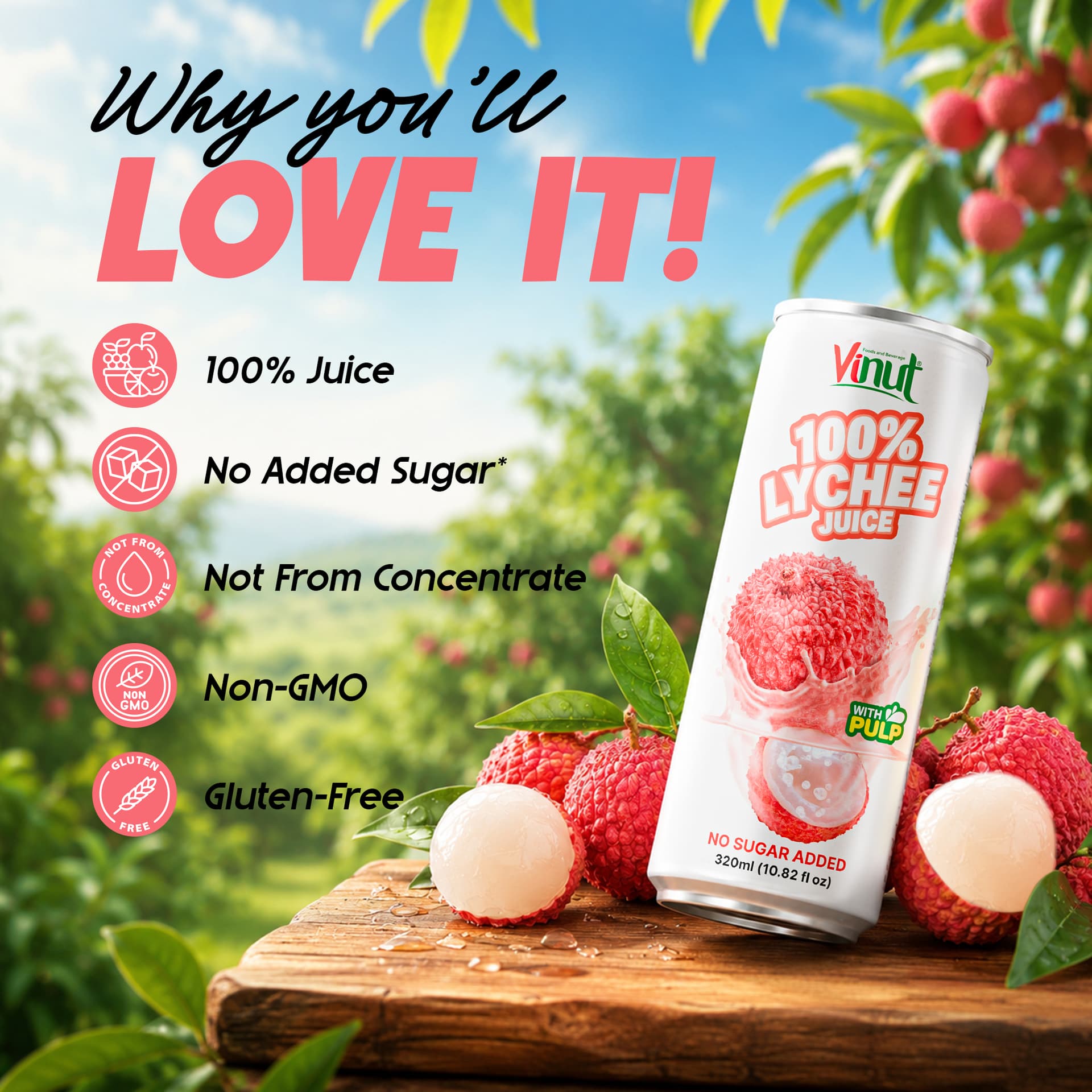 Vinut 100% Lychee Juice Drink with Pulp (No Added Sugar) 320ml I Pack of 24 view 4