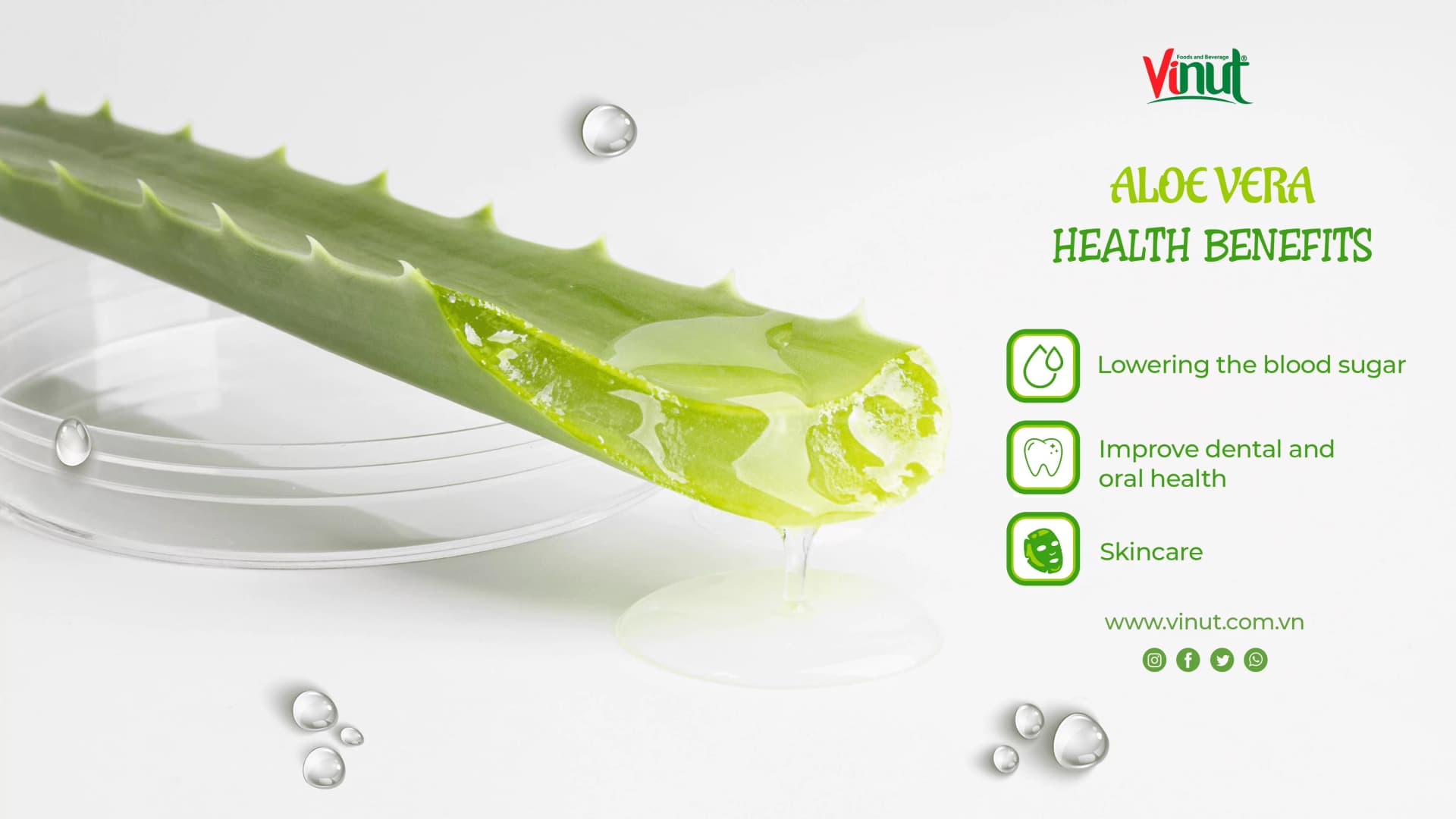 Amazing uses and health benefits of Aloe vera
