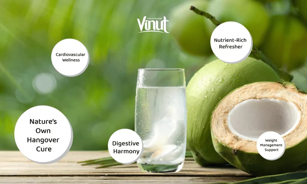 Top 6 Amazing Benefits of Coconut Water