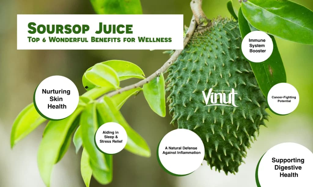Soursop Juice: Top 6 Wonderful Benefits for Wellness
