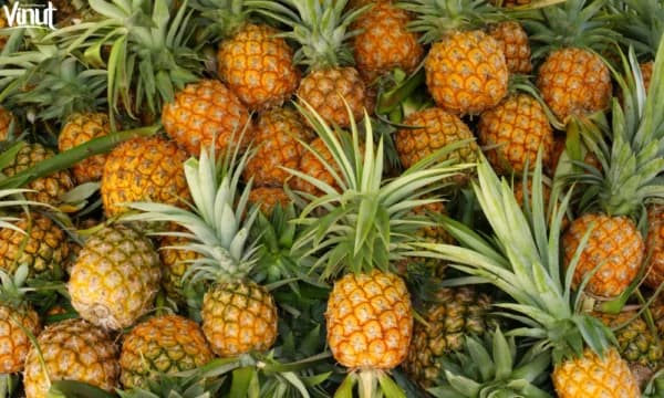 Pineapples: Exploring the 5 Wonderful Advantages