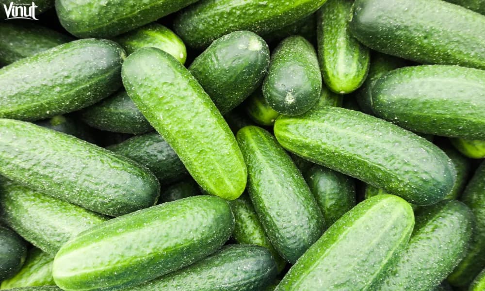 10 Outstanding Advantages: How Cucumber Juice Can Change Your Health?