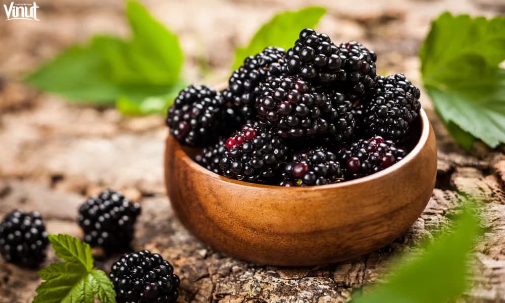 Blackberry Fruit: Exploring the 4 Fascinating Wonders