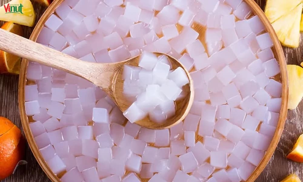 The Wonderful Secret of Coconut Milk and Nata de Coco