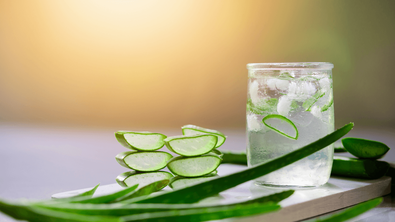 Unlocking the Health Secrets of Aloe Vera Drinks