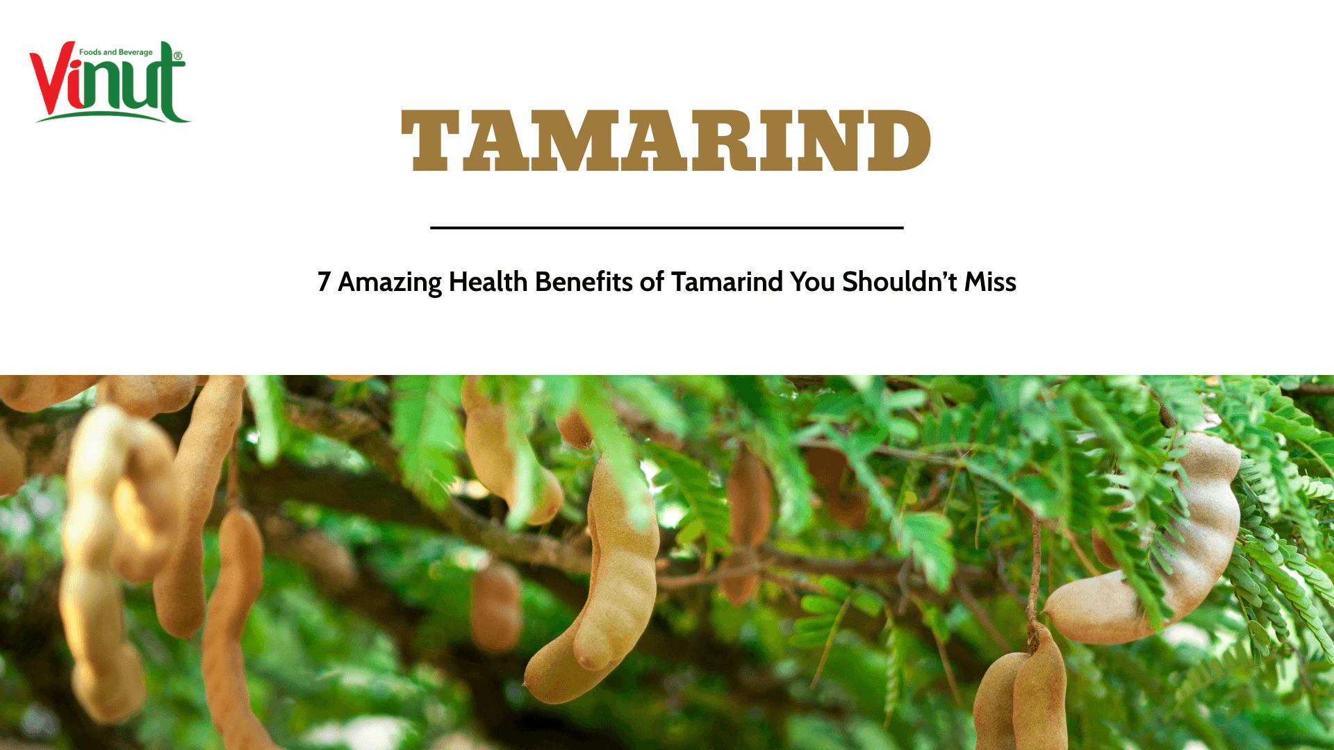 Tamarind: 7 Amazing Health Benefits of It You Shouldn’t Miss