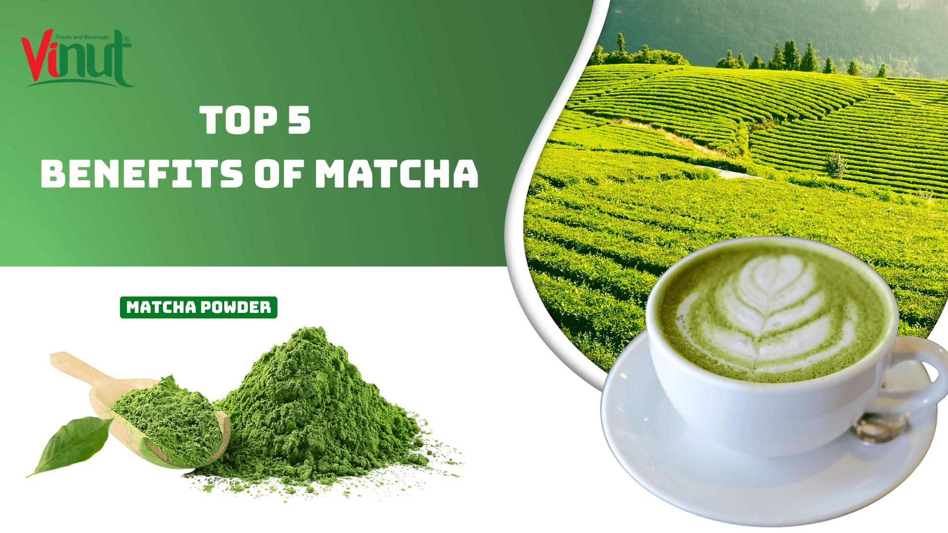 TOP 5 SURPRISING MATCHA BENEFITS YOU PROBABLY DIDN’T KNOW!