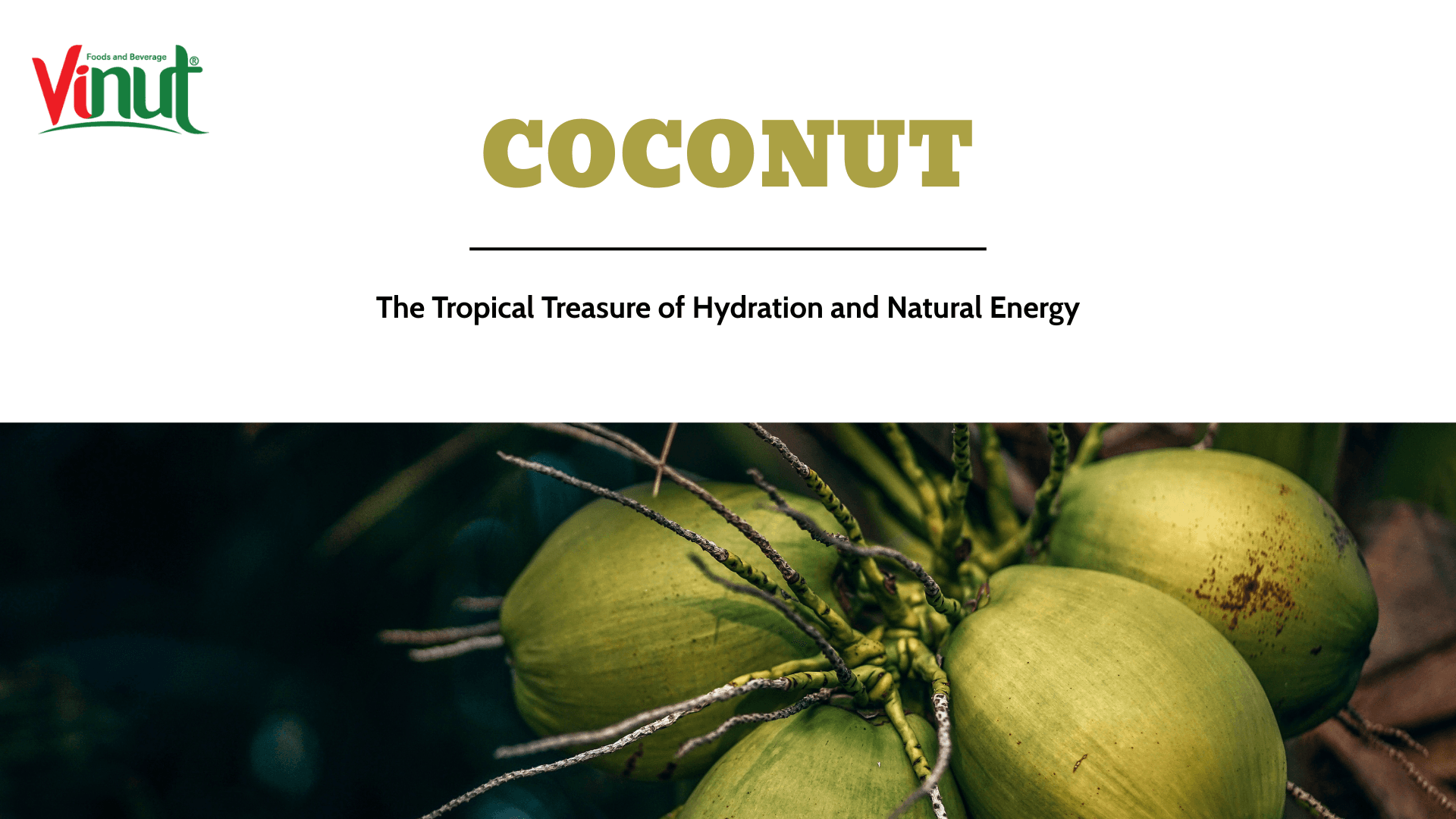 Coconut: The Tropical Treasure of Hydration and Natural Energy