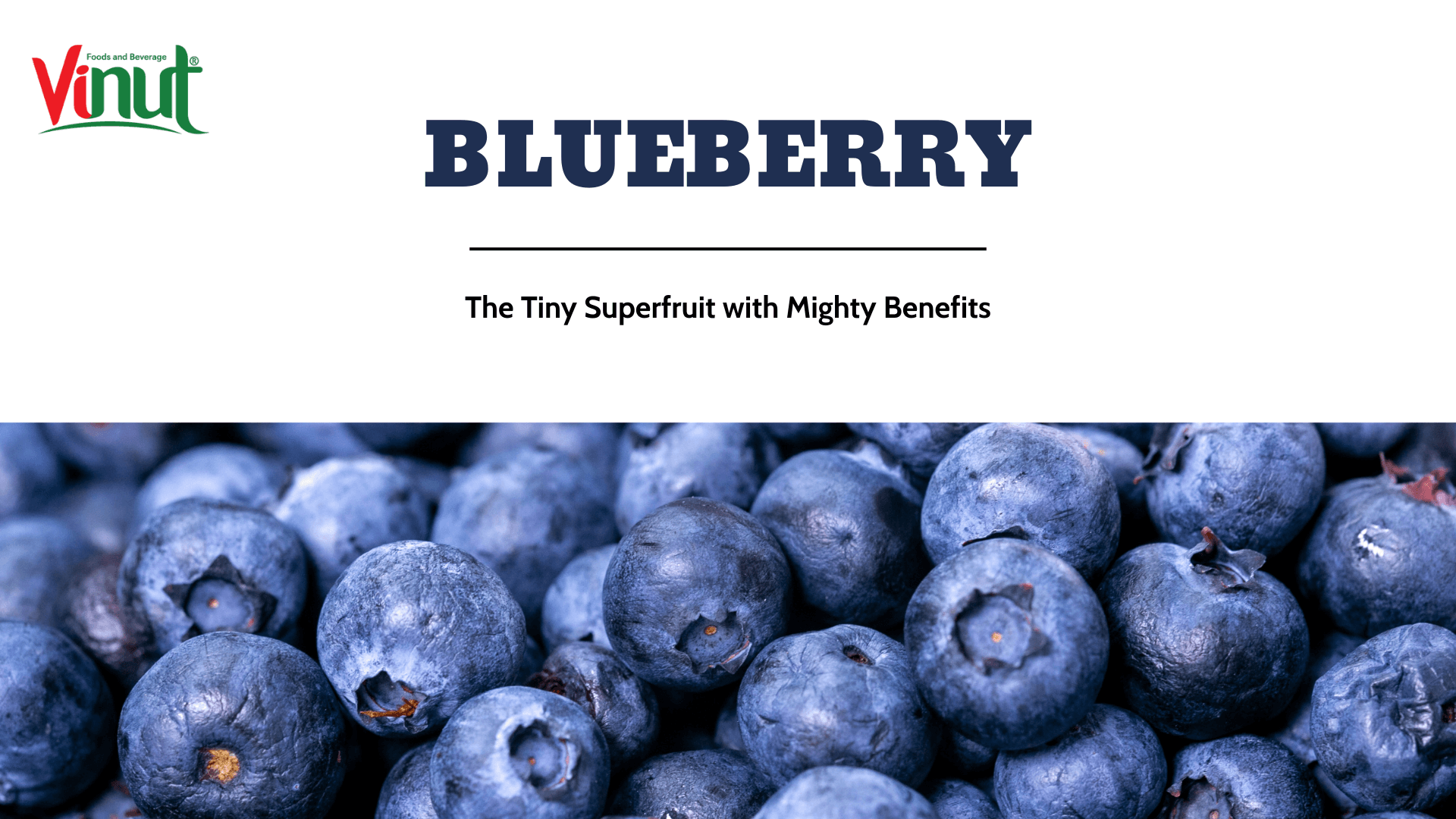 Blueberry – The Tiny Superfruit with Mighty Benefits