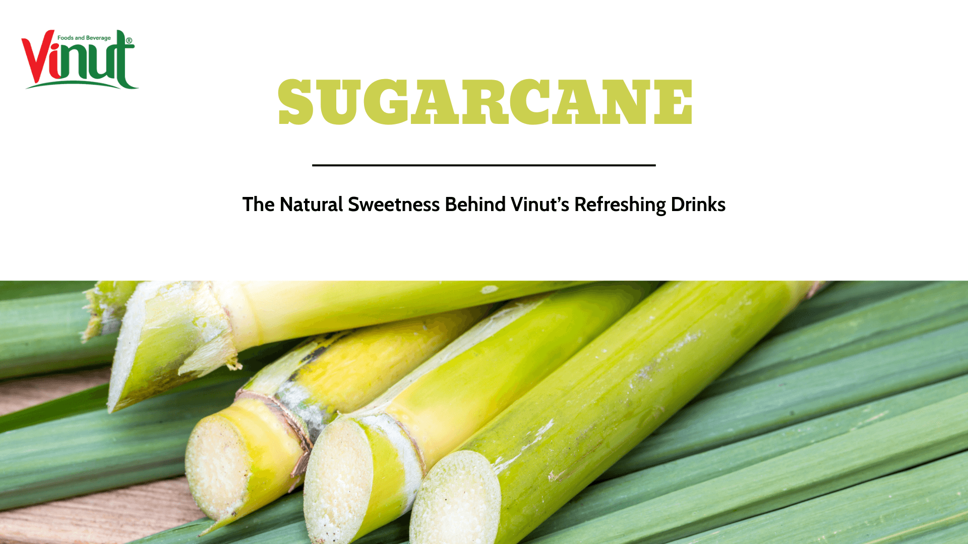 Sugarcane: The Natural Sweetness Behind Vinut’s Refreshing Drinks