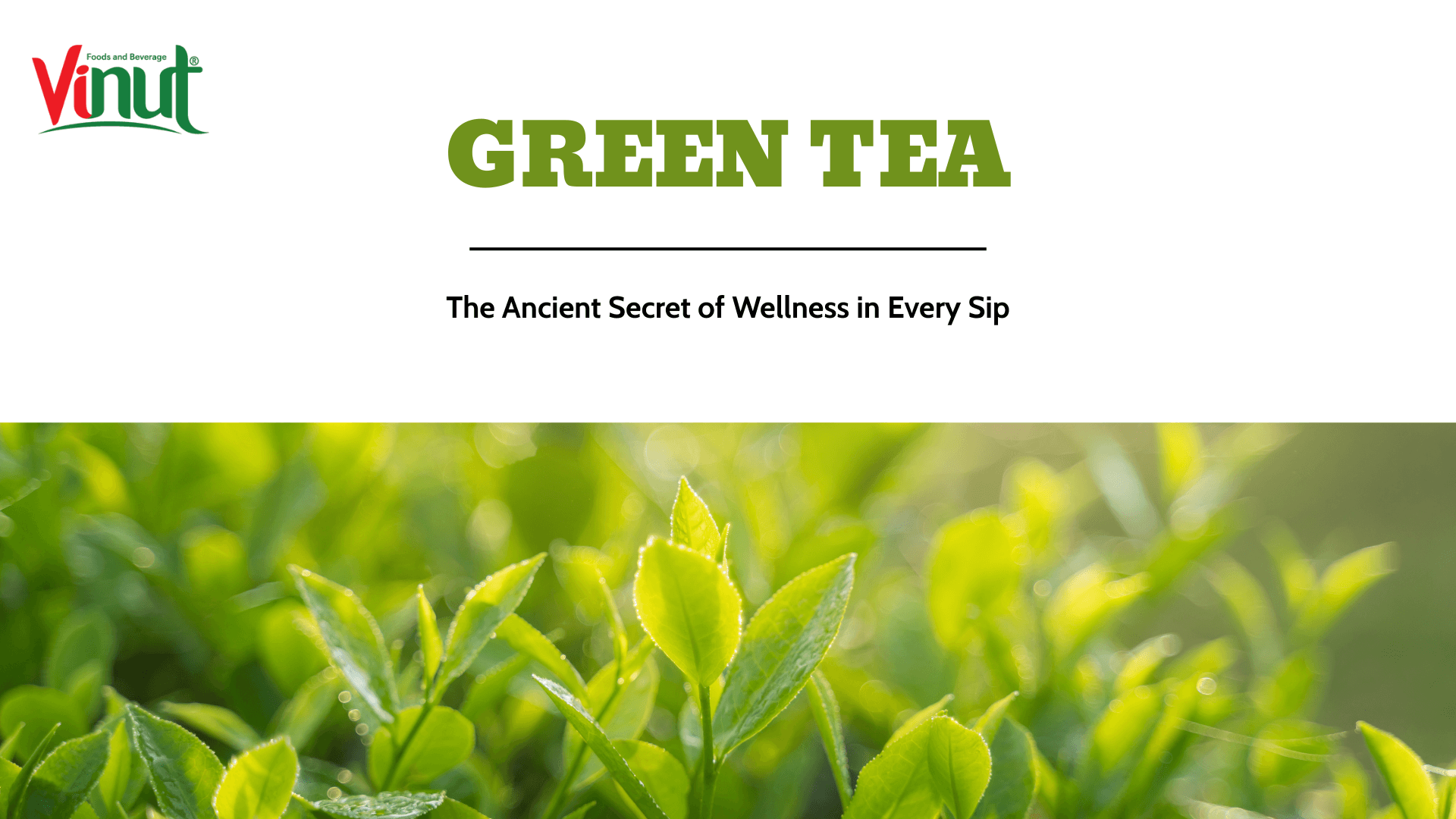 Green Tea: The Ancient Secret of Wellness in Every Sip