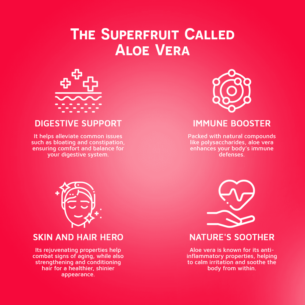 Vinut Aloe Vera Drink, Watermelon Flavor, NFC, PET Bottle, 16.9 fl oz (500 mL) view 5