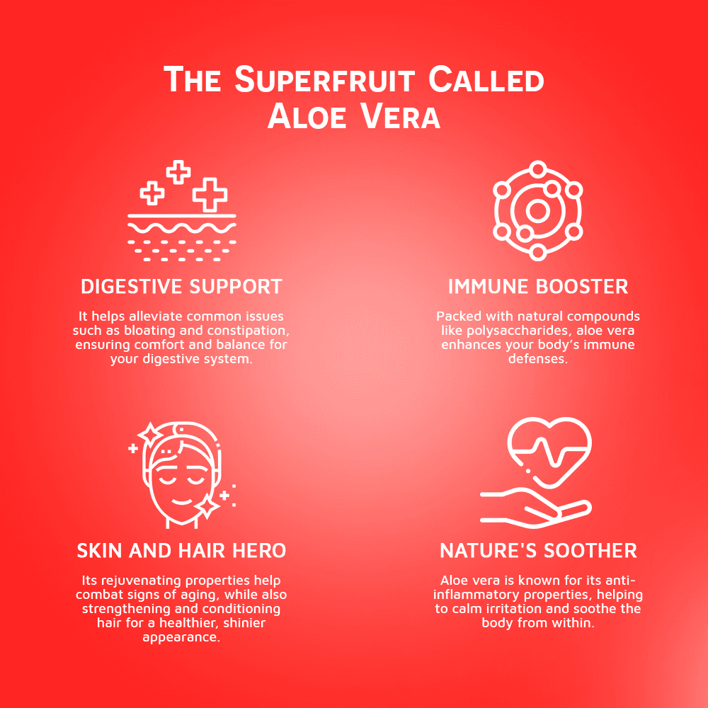 Vinut Aloe Vera Drink, Pomegranate Flavor, NFC, PET Bottle, 16.9 fl oz (500 mL) view 5