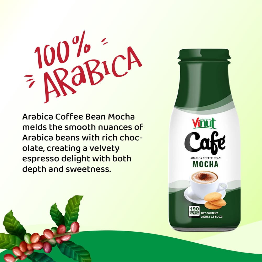 Box 4 x 9.5 fl oz Vinut Mocha coffee drink (Arabica coffee bean) view 5