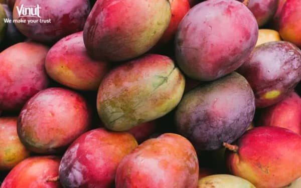 Mango: Discover 6 Amazing Health Advantages