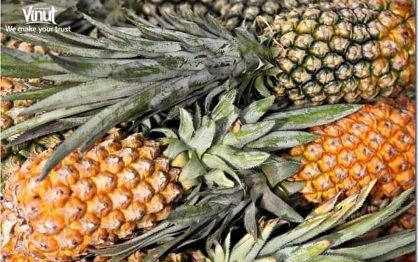 Pineapple Juice: 5 Outstanding Health Benefits