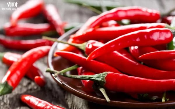 Chili Pepper: Unique Taste For Culinary Adventures