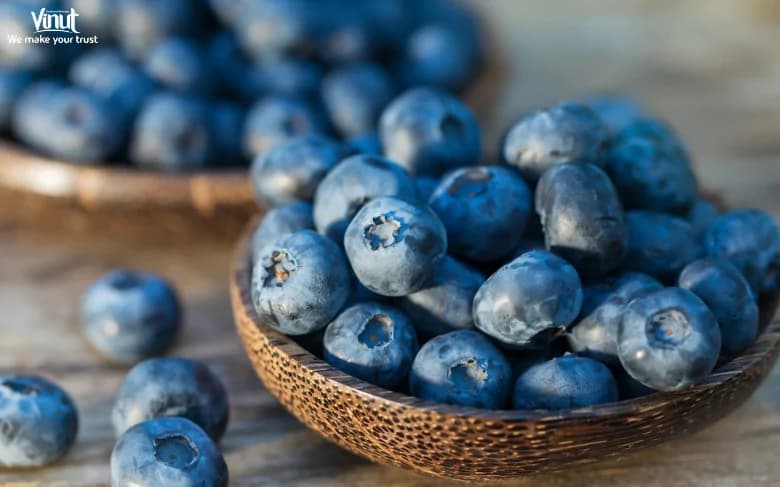 Blueberries: Brief History, Varieties, Nutritional Value, and 4 Fun Facts