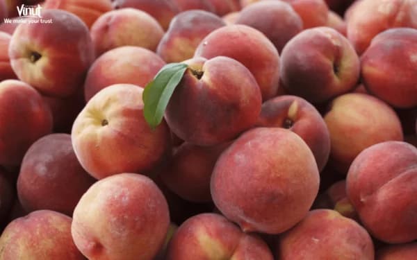 Peaches: An Excellent Source of Juicy for Your Health