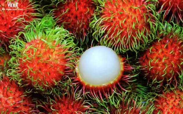 Top 25 Delicious Vietnamese Fruits You Must Try