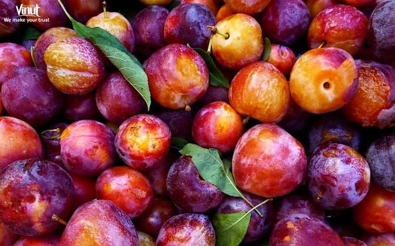 Nutritional Benefits of Plums: A Health Powerhouse