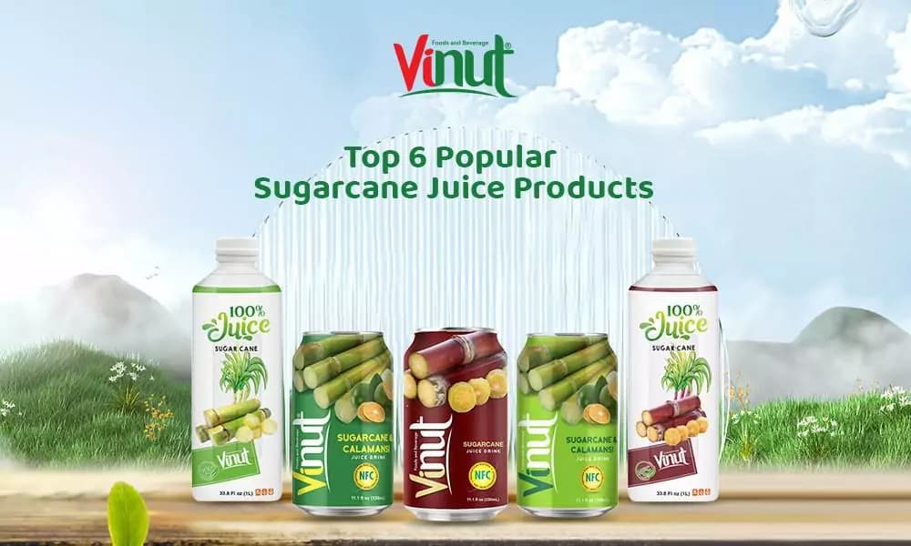 Top 6 Popular Sugarcane Juice Products