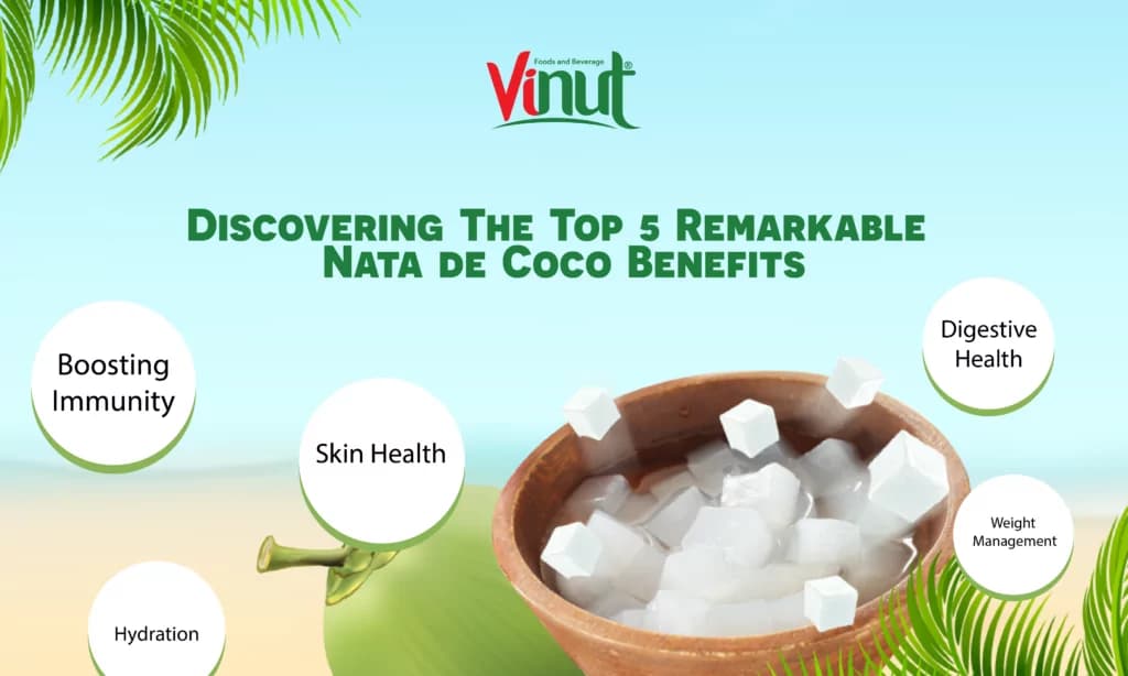 Discovering The Top 5 Remarkable Nata de Coco Benefits