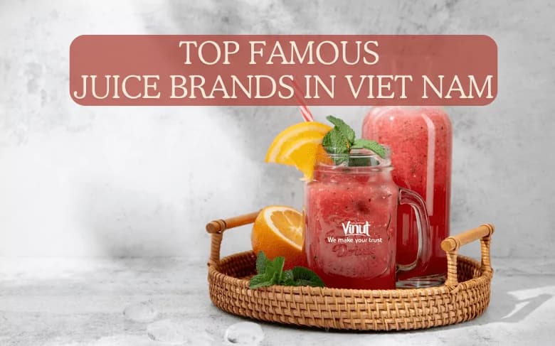 Top Famous Juice Brands in Viet Nam