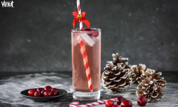 Non-Alcoholic Christmas Drinks: Festive Beverages for All Ages