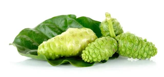 Noni Juice Benefits