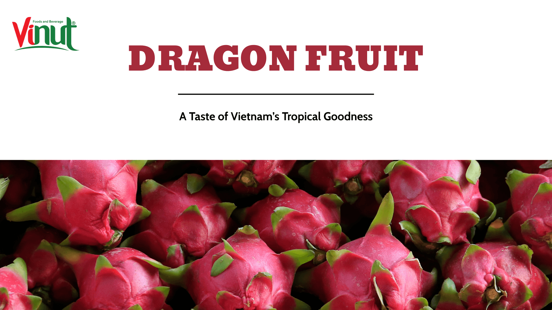 Dragon Fruit Juice – A Taste of Vietnam’s Tropical Goodness
