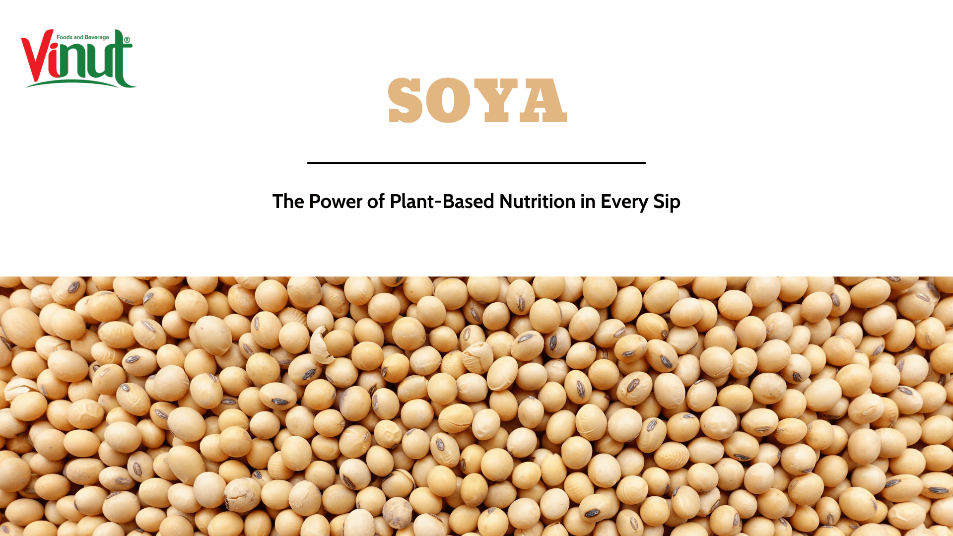 Soya: The Power of Plant-Based Nutrition in Every Sip