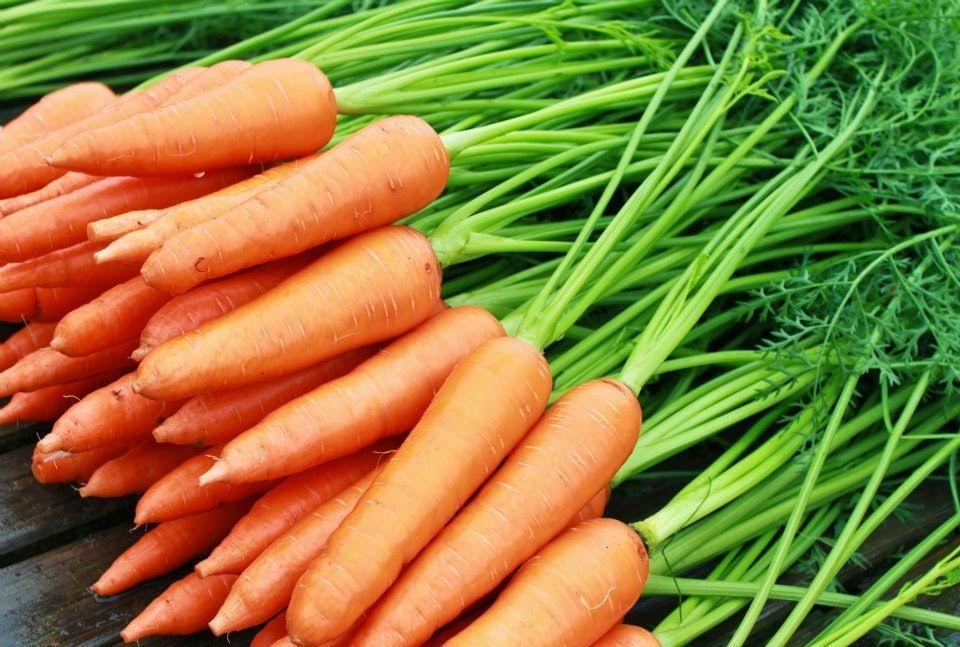 ABC Detox Drink: Why Apple, Beetroot and Carrot is a Great Combination 14 caroot