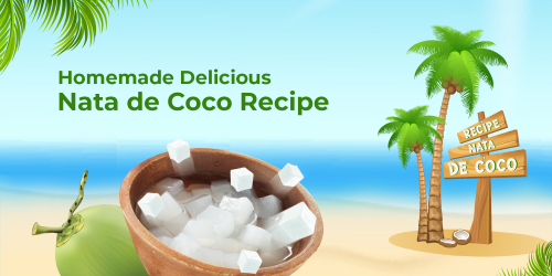 Homemade Delicious Nata de Coco Recipe