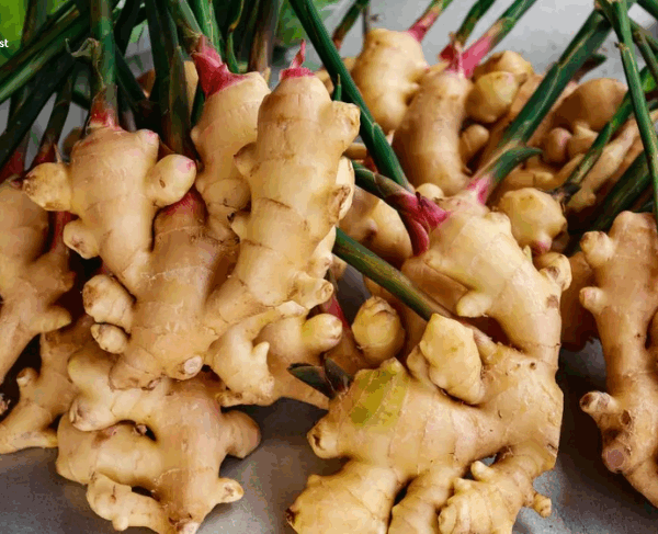 VINUT_Combine with Other Superfoods