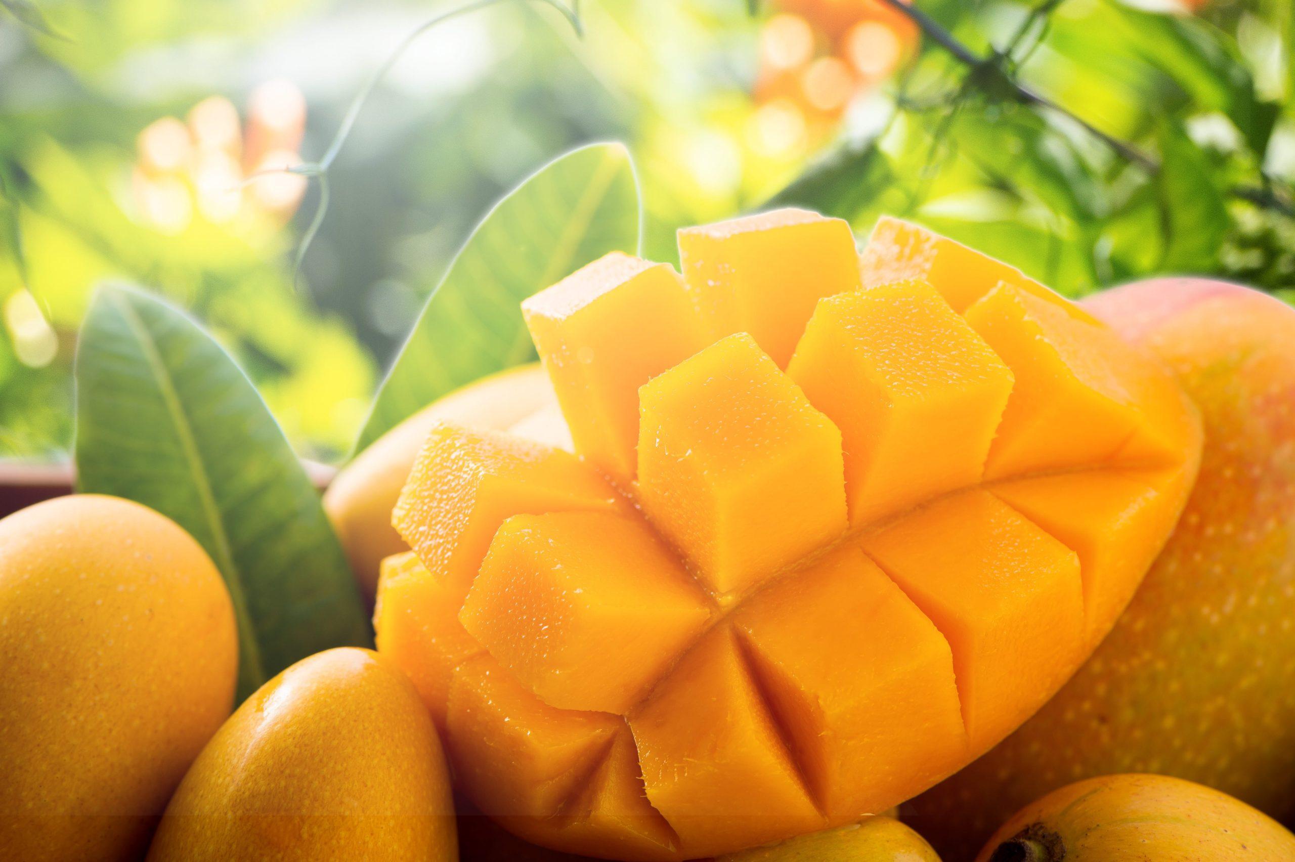 Hydrate and Nourish Your Body with these Nutrient-Packed Summer Fruit Juices - Health benefits and nutrient content of mango juice