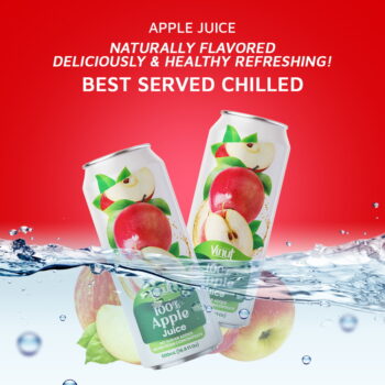 16.9 fl oz Vinut 100% NFC Apple Juice Drink (No Sugar Added)