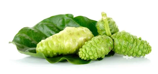 Noni Juice Benefits 2 Noni Juice Benefits