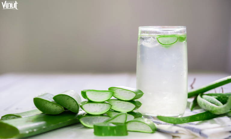 VINUT_Is Aloe Vera Drink Safe?