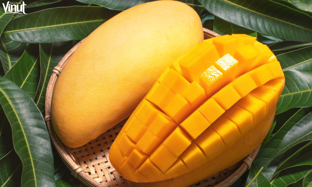 VINUT_Overview of Mangoes