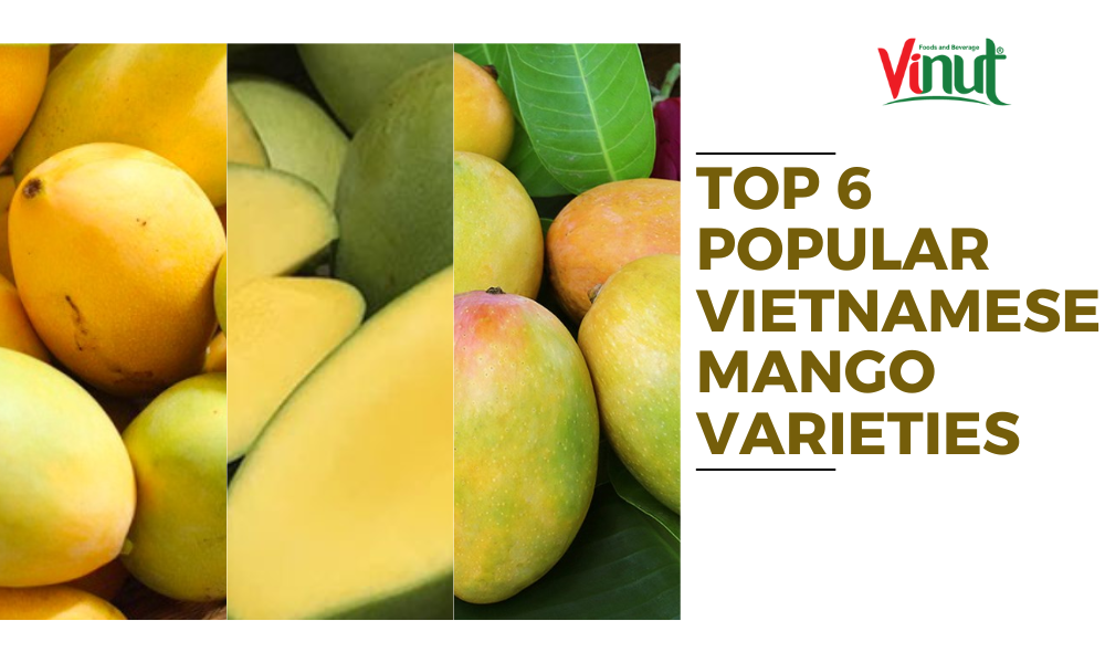 Top 6 Popular Vietnamese Mango Varieties