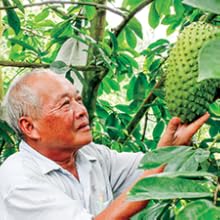 vinut soursop 3