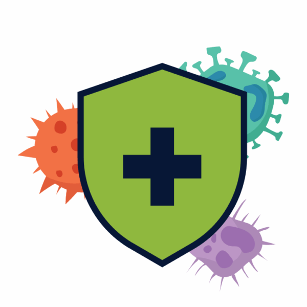 VINUT_Anti-Inflammatory Properties