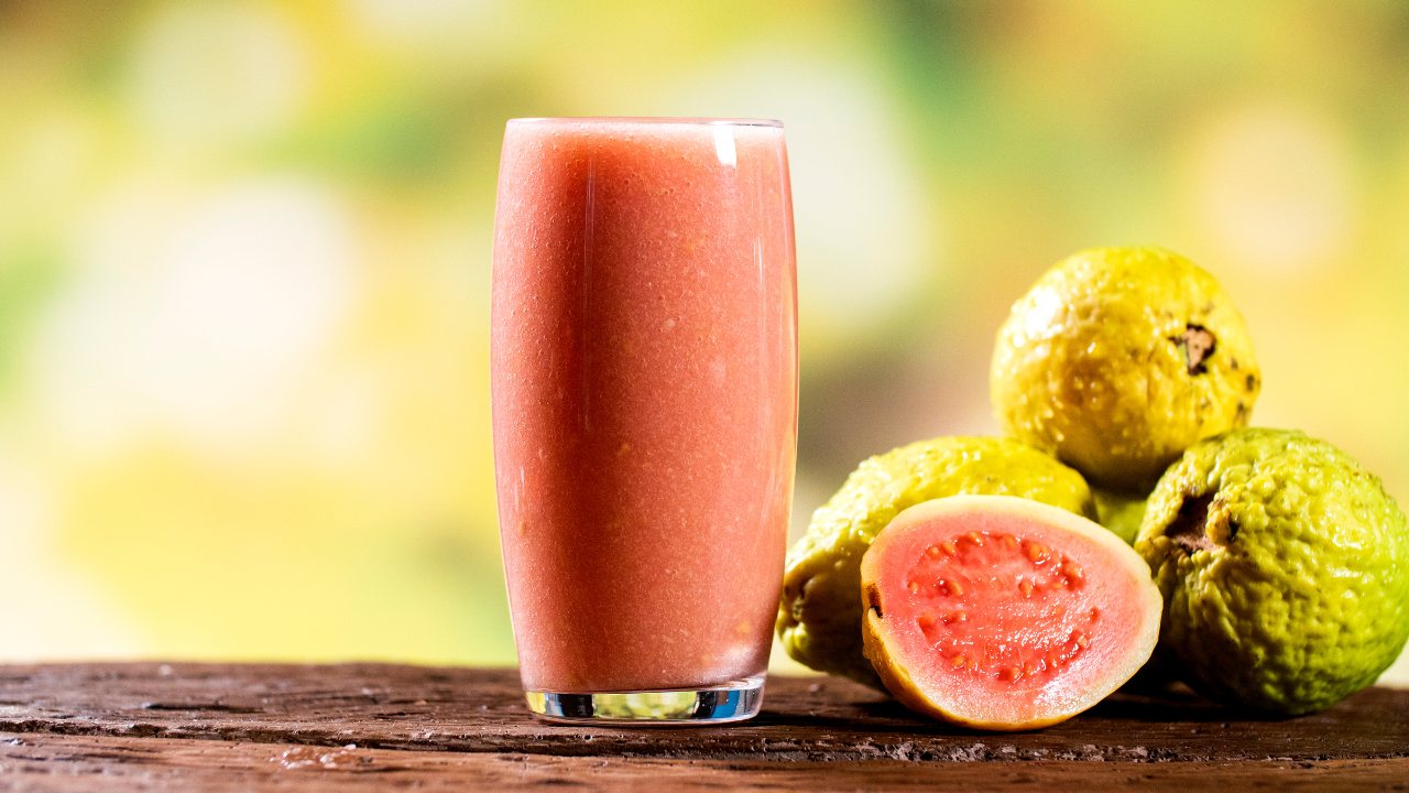 VINUT_Digestive Health and Gut Function