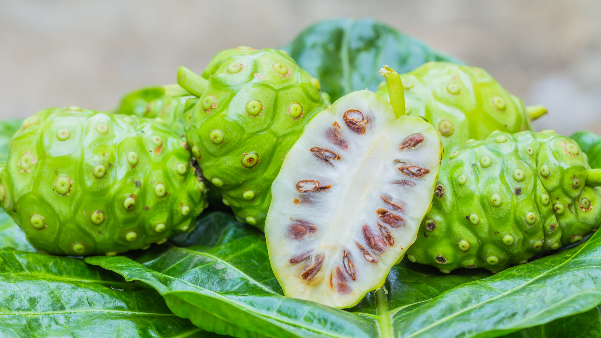 noni