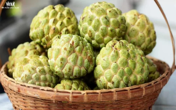 VINUT_Sweetsop/Custard Apple VINUT_Sweetsop/Custard Apple