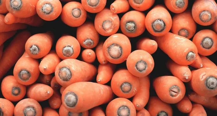 Autophagy Is the Real Way to Detox Your Body 5 ways to conquer autophagy Go on a protein fast 752x401 1
