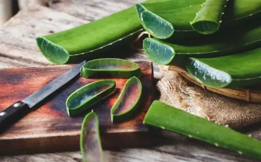 Aloe vera may help treat skin injuries. Aloe vera may help treat skin injuries.