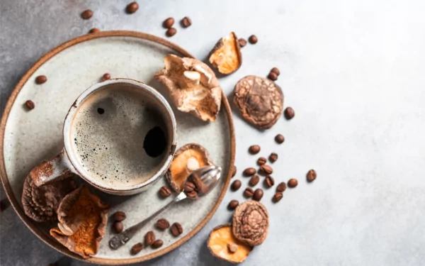 What is Mushroom Coffee? What is Mushroom Coffee?