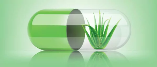 Aloe Vera Capsules Aloe Vera Capsules